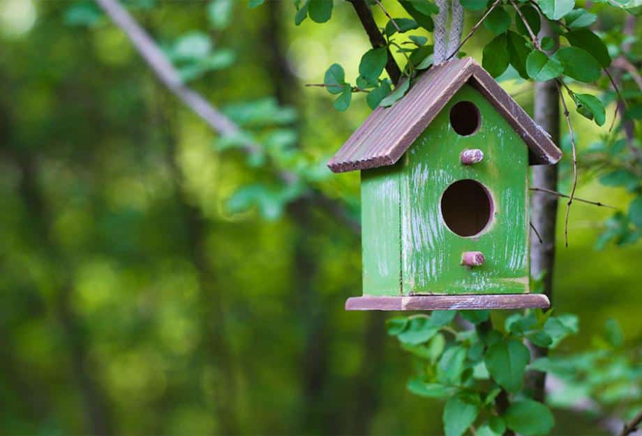 Fabriquer un plan de nichoir et mangeoire pour oiseaux, les outils nécessaires