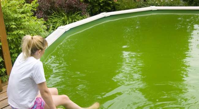 Eau de piscine verte, mais sans algues, comment la traiter ?