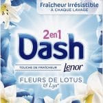 Dash 2en1 Lessive Poudre