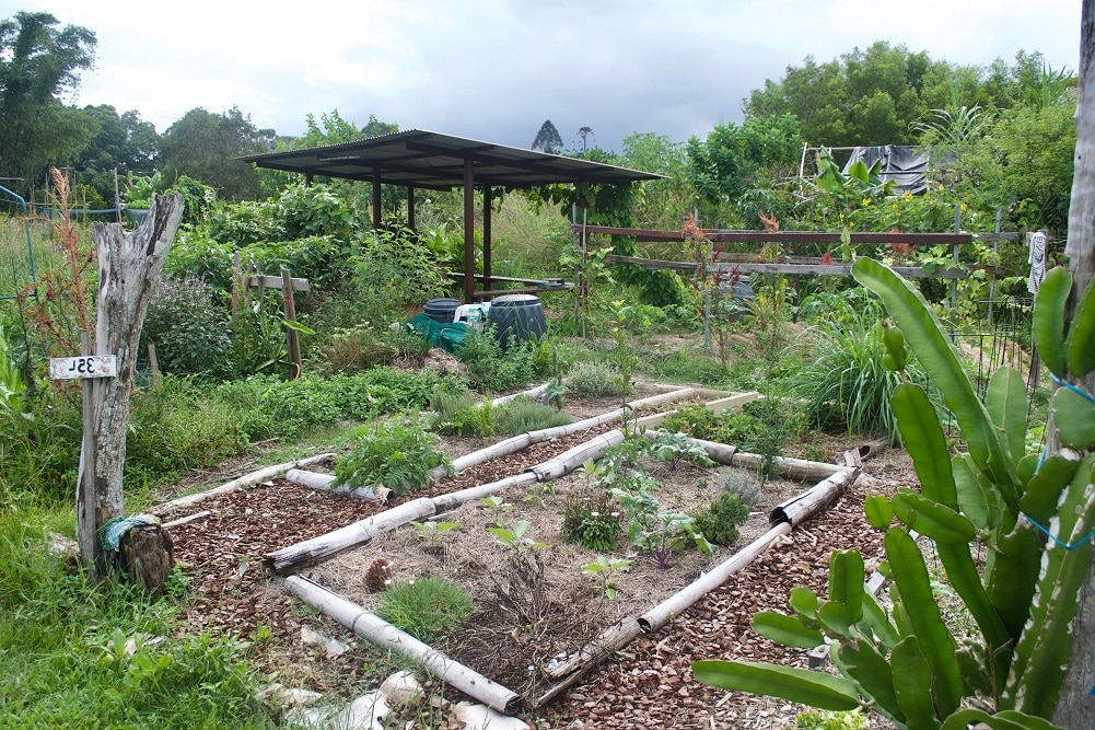 La permaculture au jardin mois par mois