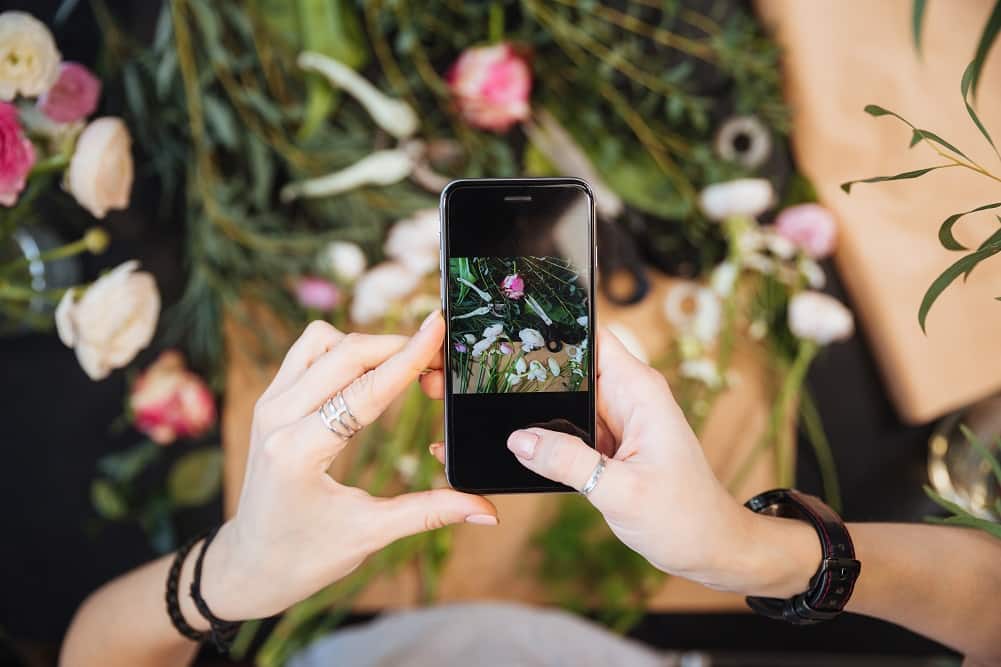 application pour reconnaître les plantes