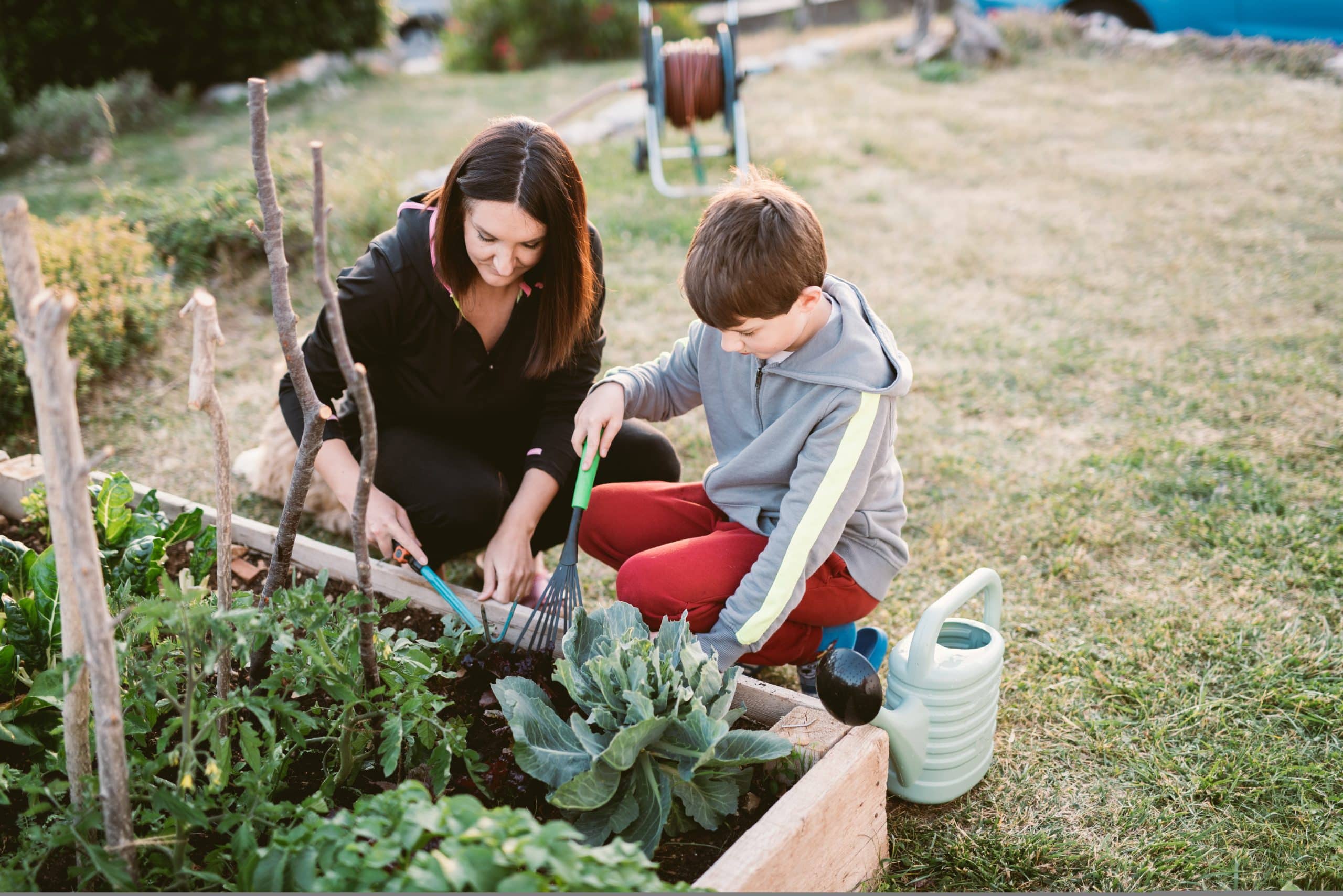 calendrier du potager mois par mois est-il vraiment nécessaire 