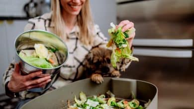 Une femme qui fait du compost