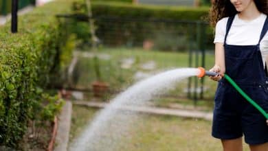 Jeune femme arrosant des plantes