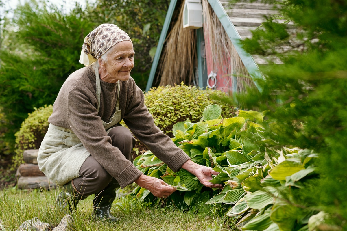 Une femme accroupie qui fait du jardinage