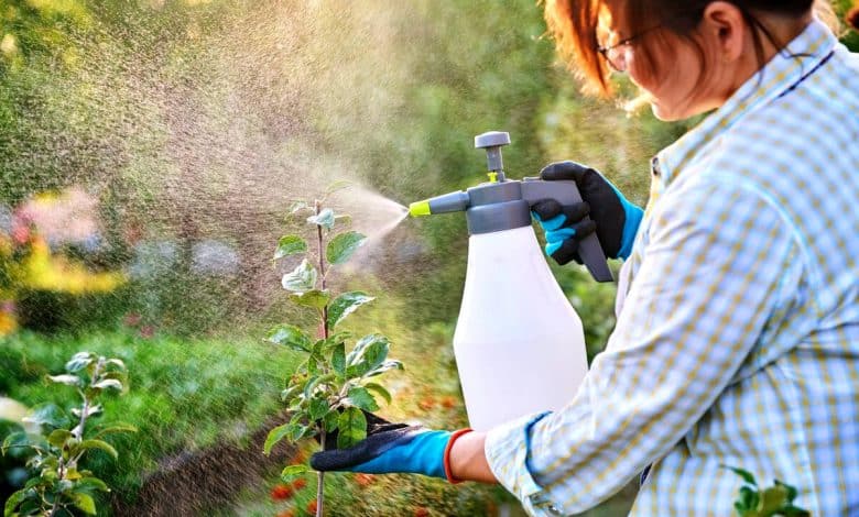 Une femme qui fait vaporise ses plantes