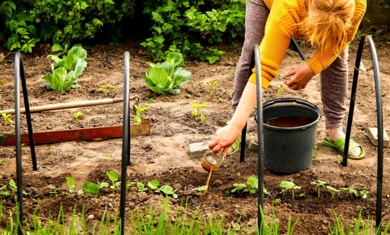 Une femme qui fait du jardinage dans son jardin avec un engrais liquide et naturel