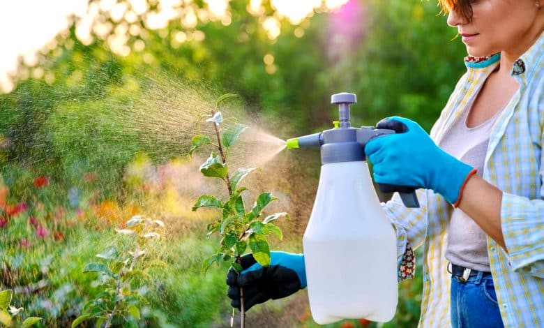 Une femme qui applique un spray contre les nuisibles comme les pucerons