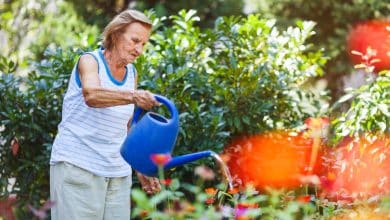 Une vielle dame qui fait du jardinage