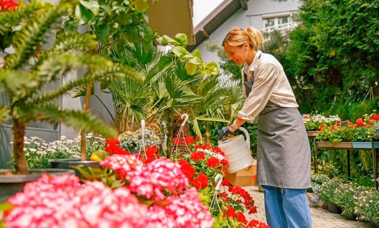 Arrosage de jardin