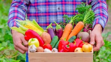 Légumes fraîches