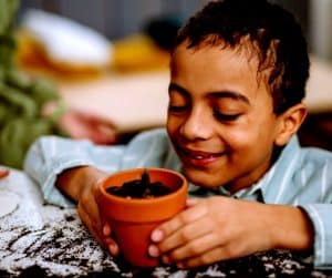 petit garçon regardant une pousse de fleur en pot