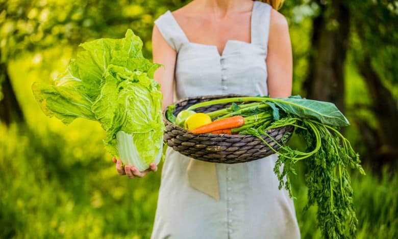 Une femme qui récolte des légumes