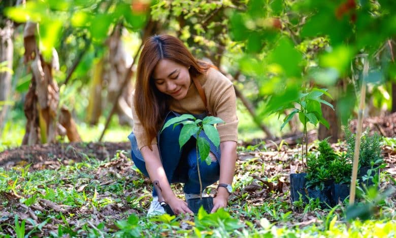Une femme qui plante un arbre en été