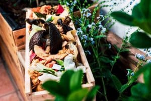 Déchets organiques dans une caisse