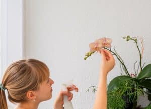 Femme prenant soin d'une orchidée