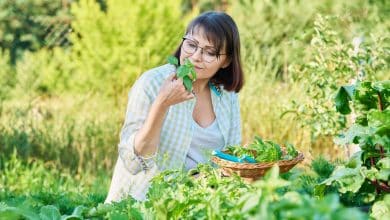 Femme au jardin d'été