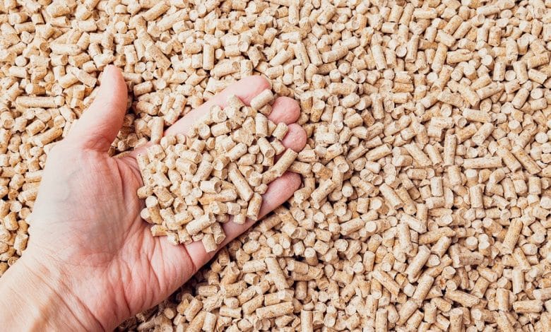 Granulés de bois dans les mains