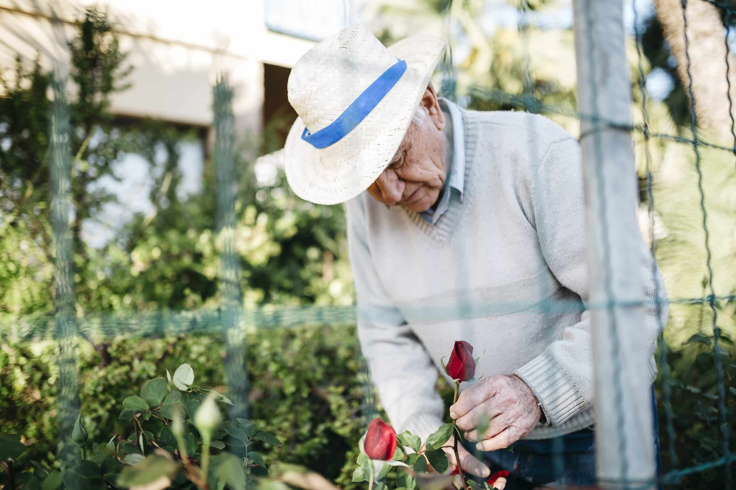 Un homme senior qui s'occupe de son jardin