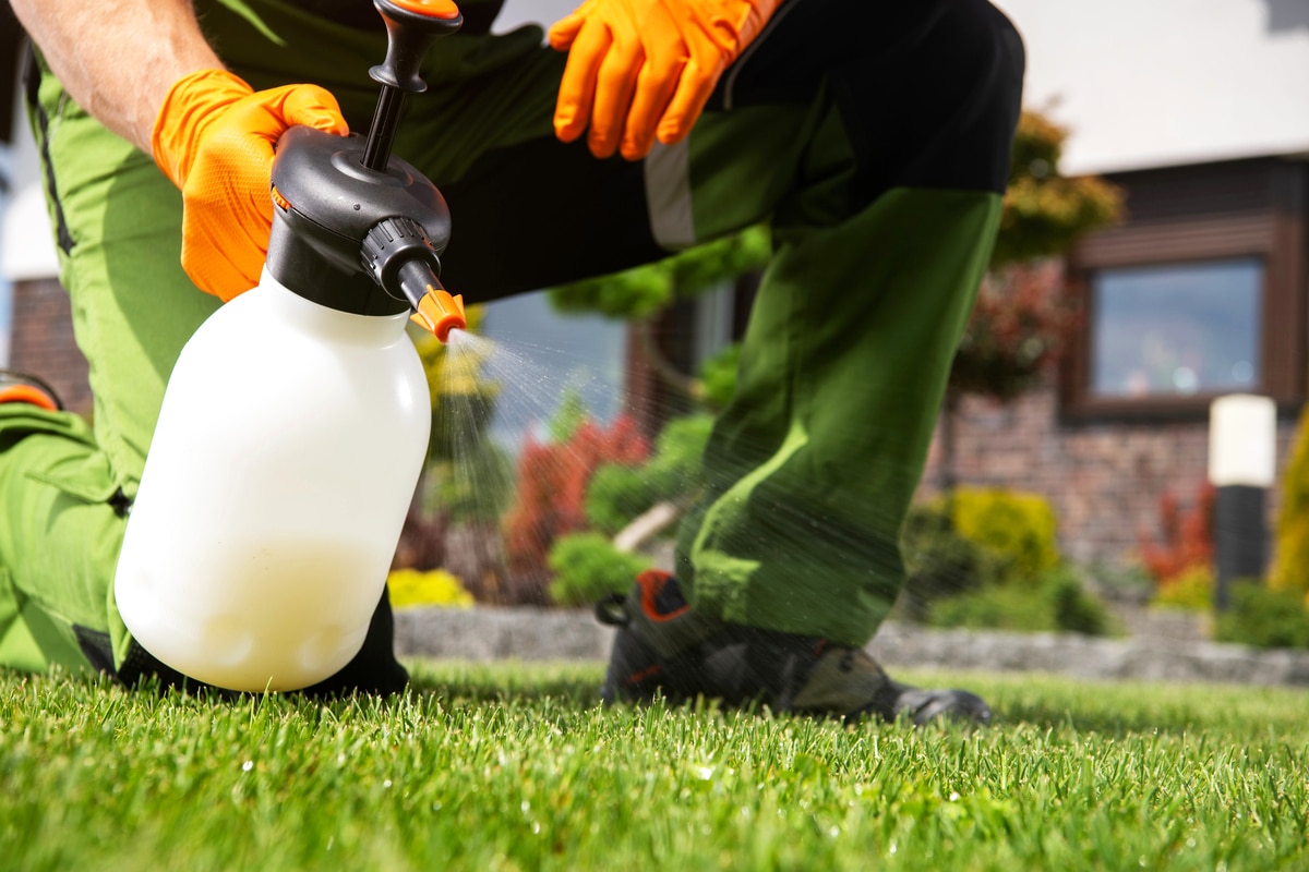 ce-spray-maison-de-ma-grand-m-re-va-mettre-fin-votre-lutte-contre-les