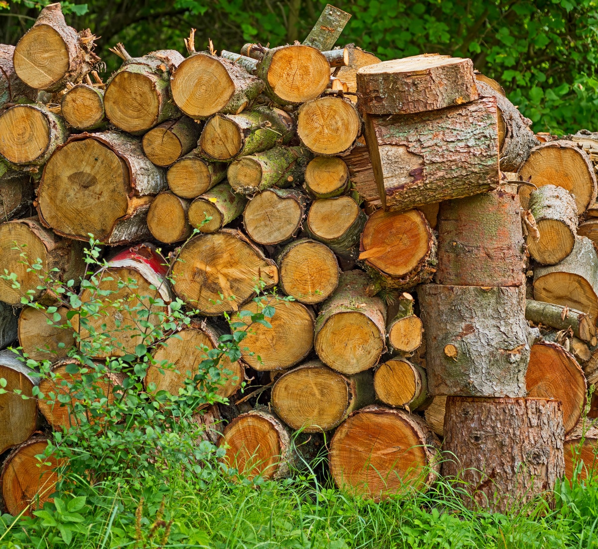 Bois de chauffage à l'extérieur