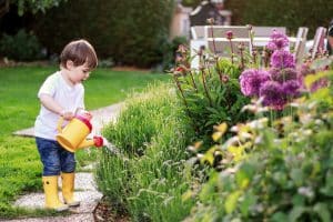 Enfant qui arrose des plantes vertes