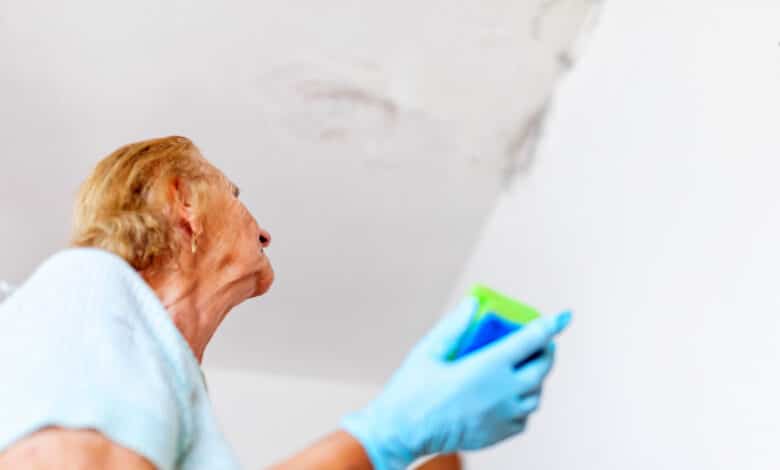 Femme âgée nettoyant un mur humide
