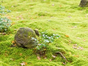 Statue japonaise avec petite moisissure