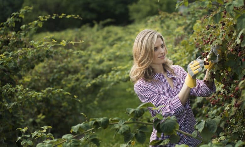 Une femme qui coupe des ronces