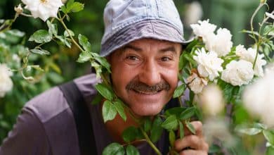 Un homme senior qui est avec des roses