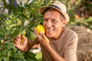 Homme taillant un citronnier.