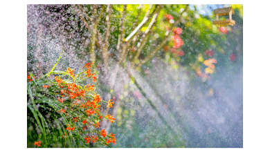 Jardin sous la pluie