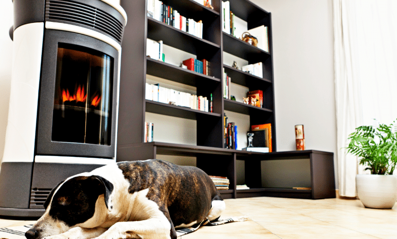 Chien à côté d'un poêle à bois.