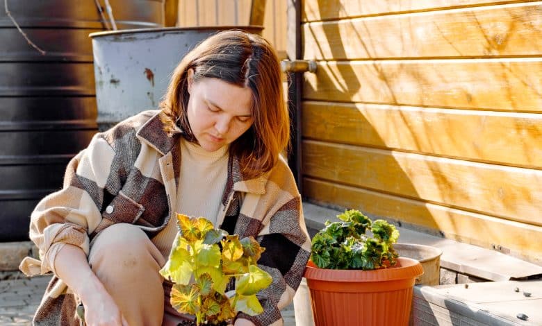 Femme s'occupe des bégonias