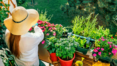 Jardin au balcon