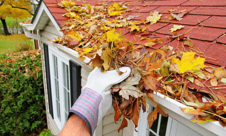 Nettoyage gouttières en automne