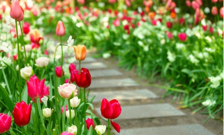 Une allée de couleur