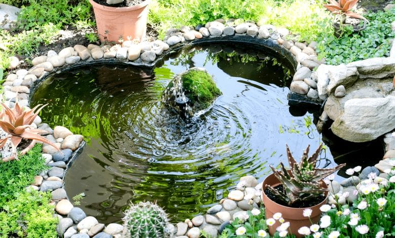 Un bassin dans le jardin