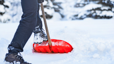 Déneigement