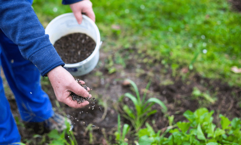 Fertiliser les plantes.