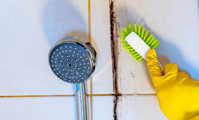 6 Conseils pratiques pour maintenir la propreté du carrelage de la