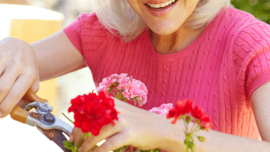 tailler-les-Geraniums