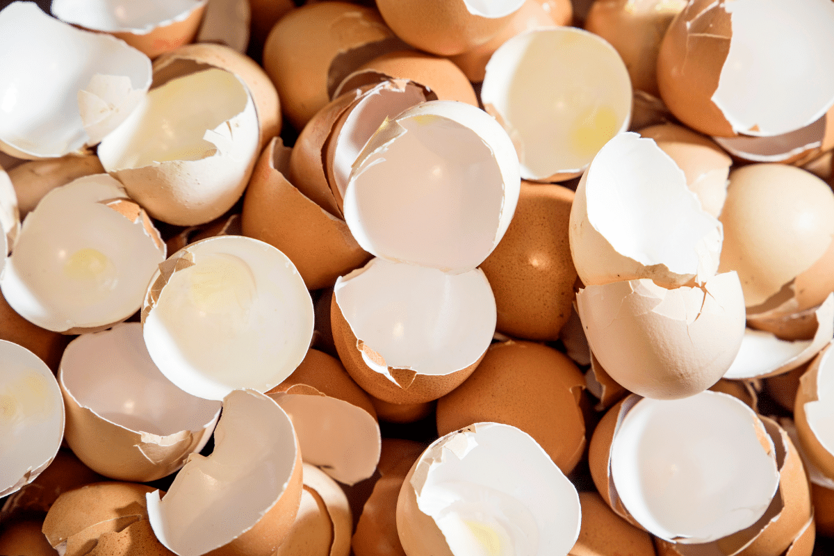 Voici comment ma maman réutilise ces coquilles d'œuf, qu'elles soient