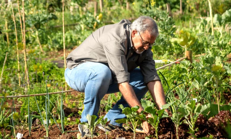 Un grand-père qui est sur son potager