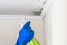 Nettoyage moisissure au plafond