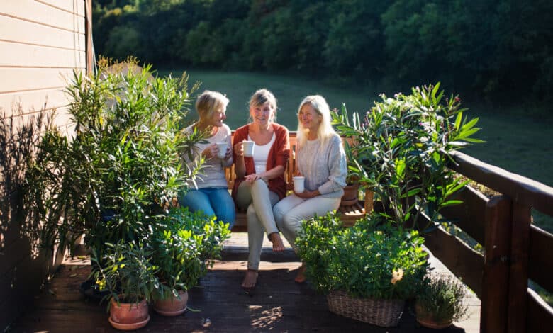 Comment fleurir votre terrasse au printemps avec des fleurs adaptées à son exposition