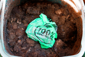 Compost dans un bac.