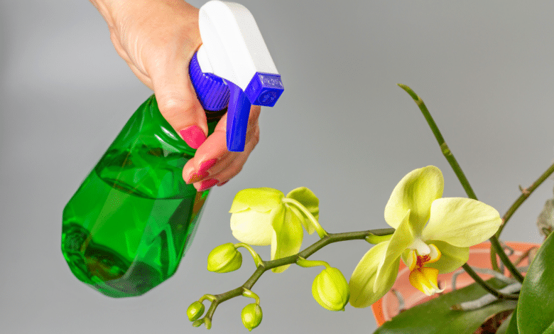 Spray pour orchidée.