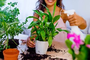 arroser les plantes