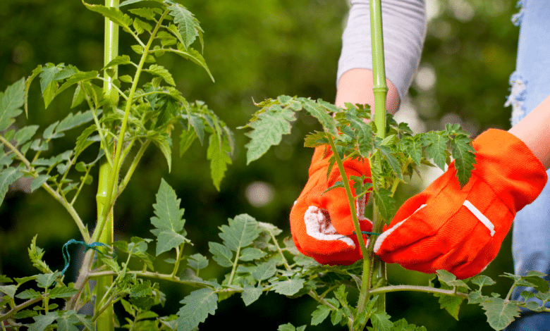 Punzone Centrale Automatico 7 Pezzi - Con Cappuccio Regolabile, Per Legno, Metallo E Plastica - Foto 9